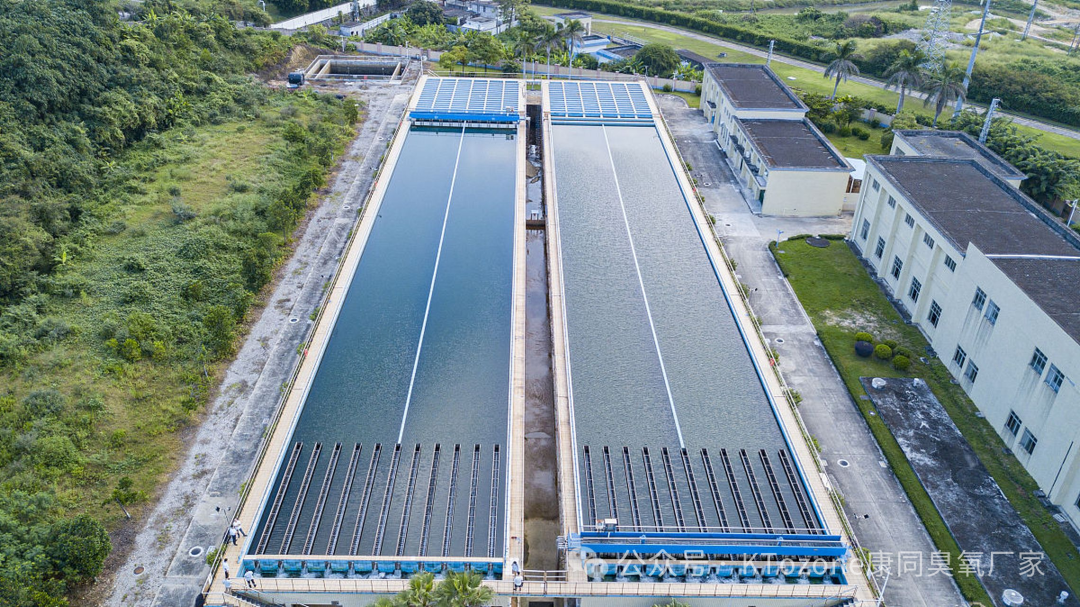 1770104253102914.png 1770104253102914.png