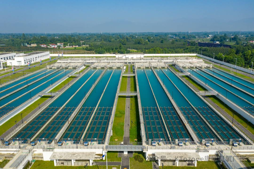 1770104405803166.png 1770104405803166.png