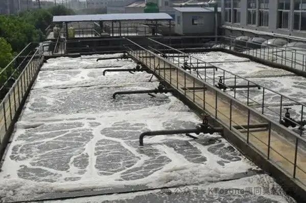 O?/H?O?高級(jí)氧化工藝如何像超級(jí)英雄一樣征服制藥廢水“高山”？